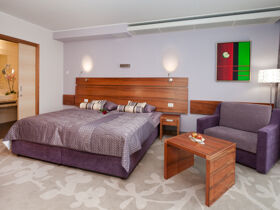 Wellnessromantik in Slowenien inkl. Candle-Light-Dinner & Massage | 2 Nächte