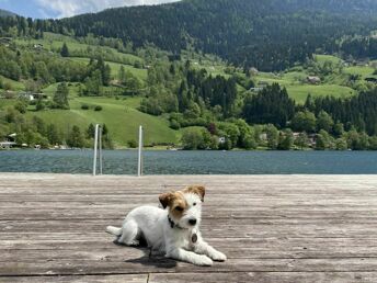 Urlaub mit Hund inkl. Willkommenspaket | 4 Nächte