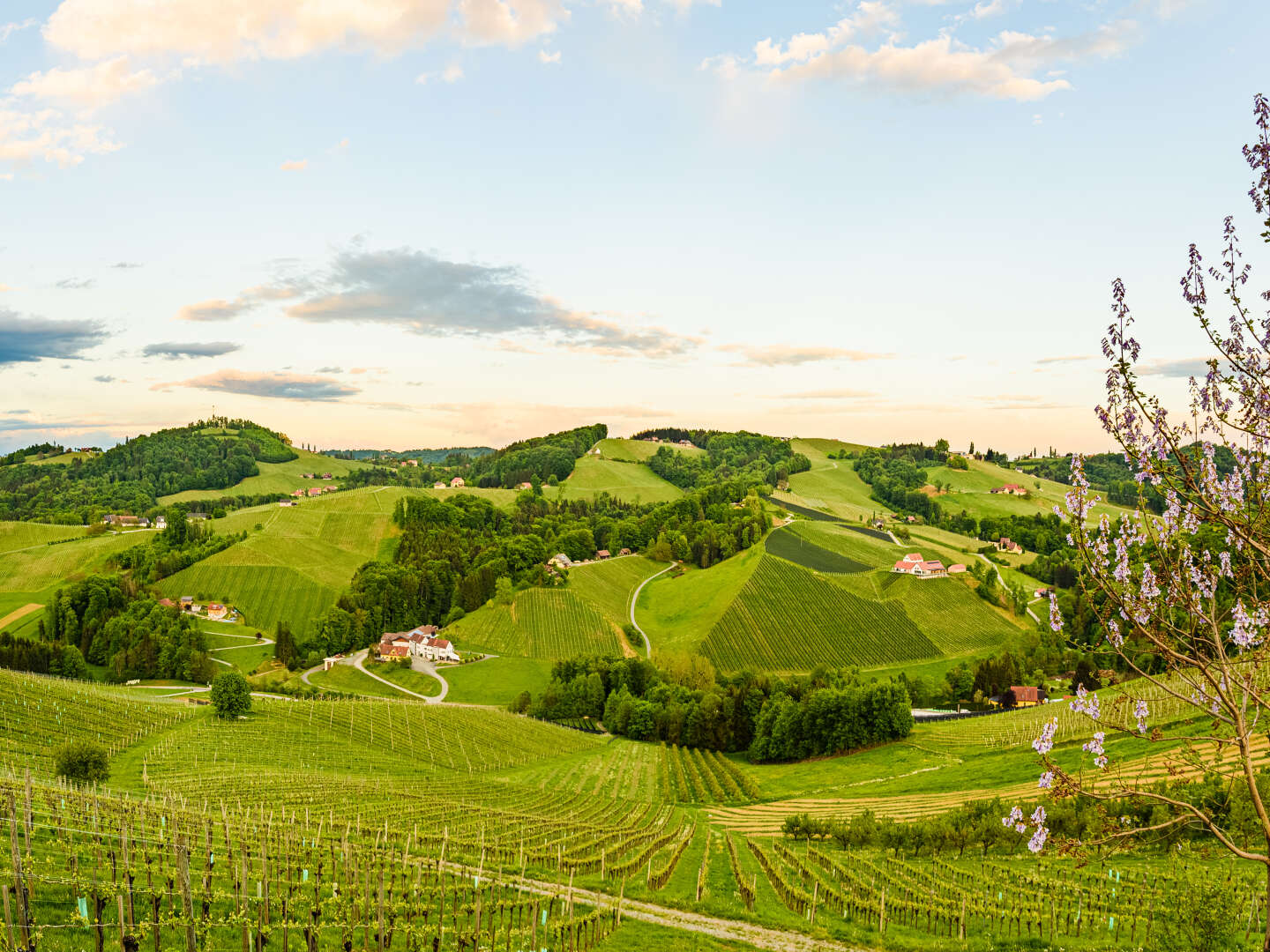 Kurzurlaub in der Südsteiermark | 2 Nächte 