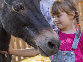 Familienauszeit & Abenteuerspaß - Trentino in Italien entdecken inkl.Halbpension | 8 Tage
