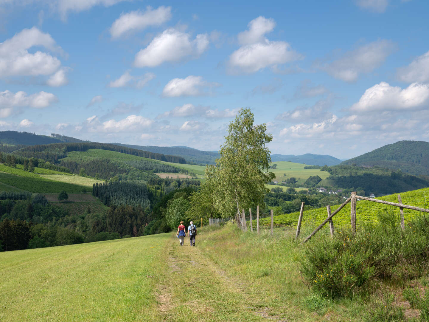 4 Erlebnistage in Winterberg im Sauerland