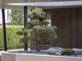 Gemütliche Tage inkl. Sauna in der Region Schladming Dachstein erleben / 4 Tage