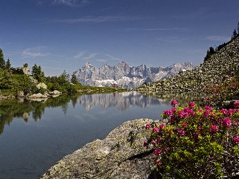 Frühlingshafte Auszeit in der Region Schladming Dachstein / 4 Tage