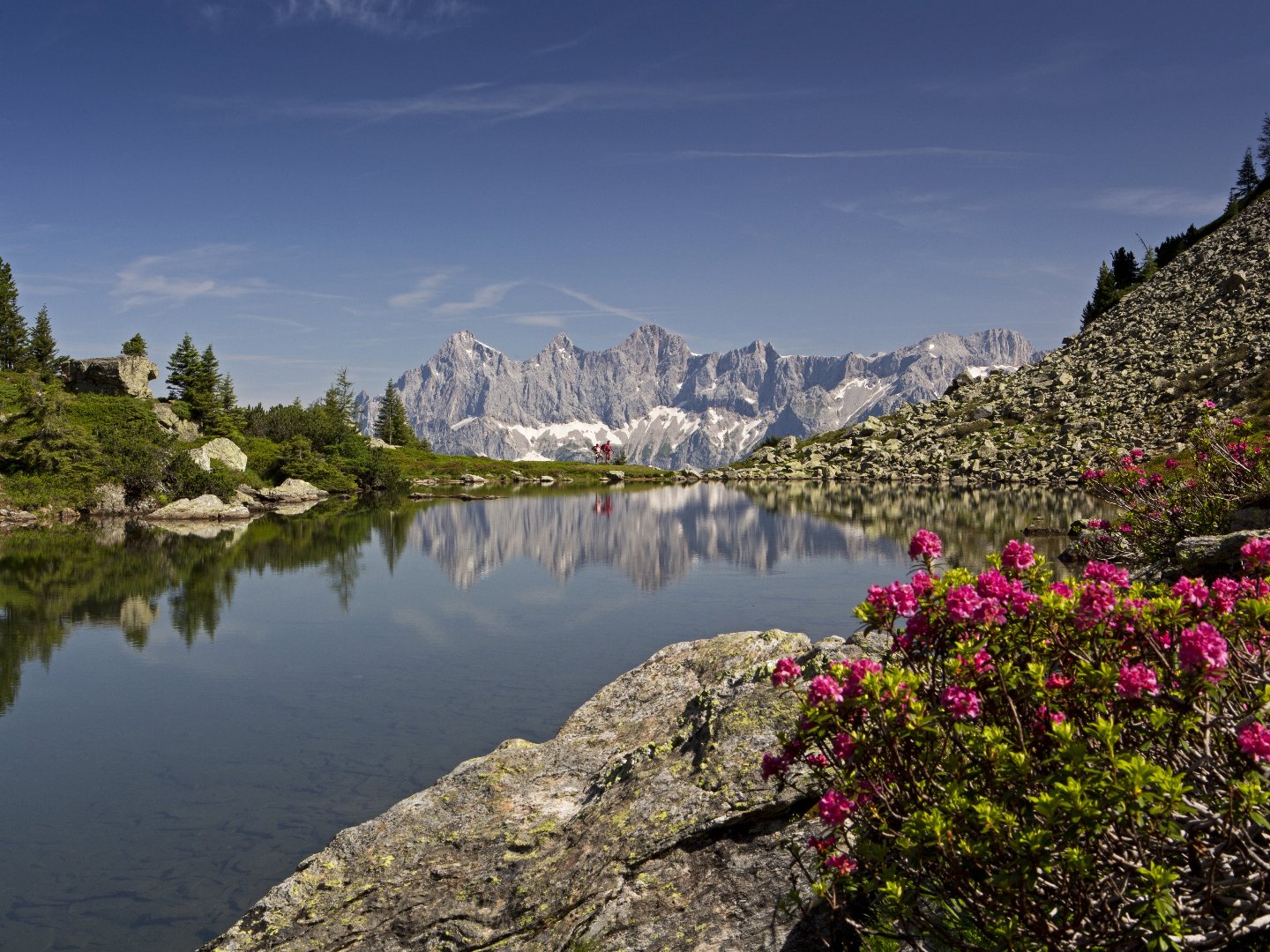 Frühlingshafte Auszeit in der Region Schladming Dachstein / 4 Tage