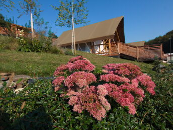  Glamping Villa - Luxus Camping in Natur & Therme in Slowenien | 3 Nächte