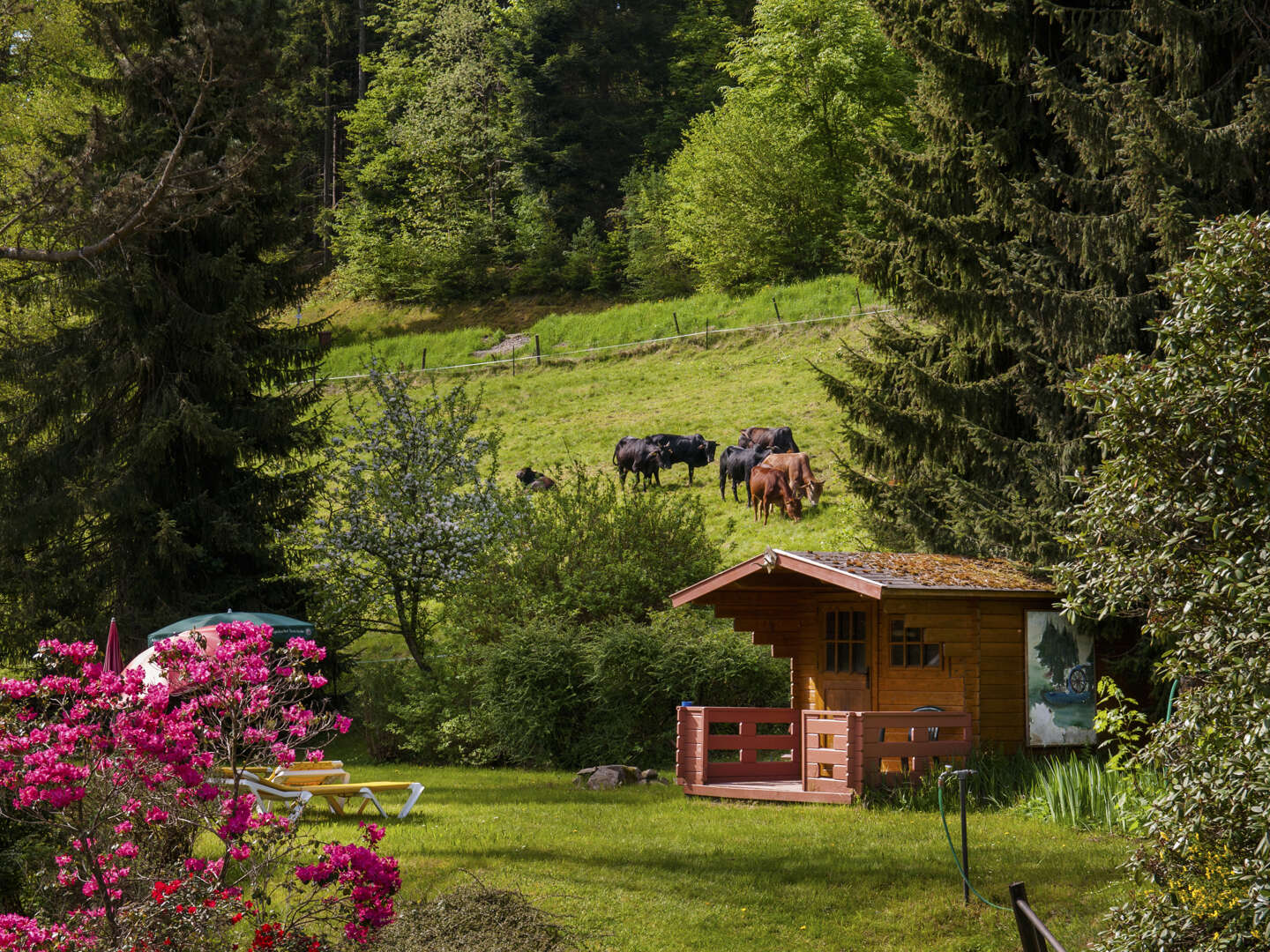 Kurz mal Luft holen - 4 Tage durchatmen im  Schwarzwald mit Massage