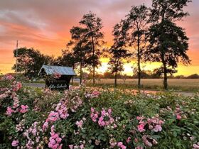5 Tage  Maritime Auszeit - Das Weltnaturerbe Wattenmeer erleben  
