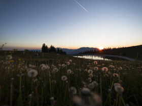 Winterauszeit in Slowenien inkl. Massage und Halbpension | 2 Nächte