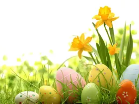 Schnäppchen Osterwochenende auf Gut Wissmannshof