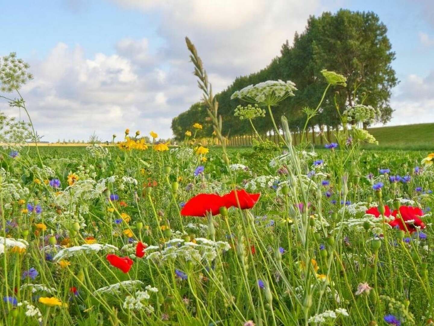 5 Tage Kurzurlaub - Auszeit vom Alltag