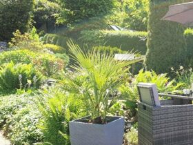 3 Tage Action für Jung und Alt im Harz