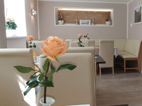 3 Tage Action für Jung und Alt im Harz