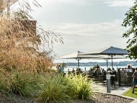 Kurzentschlossen nach Glücksburg