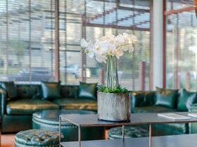 Kurzentschlossen nach Glücksburg