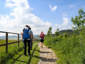 4 Tage | Kurzurlaub in Winterberg inkl. Sauerland Card
