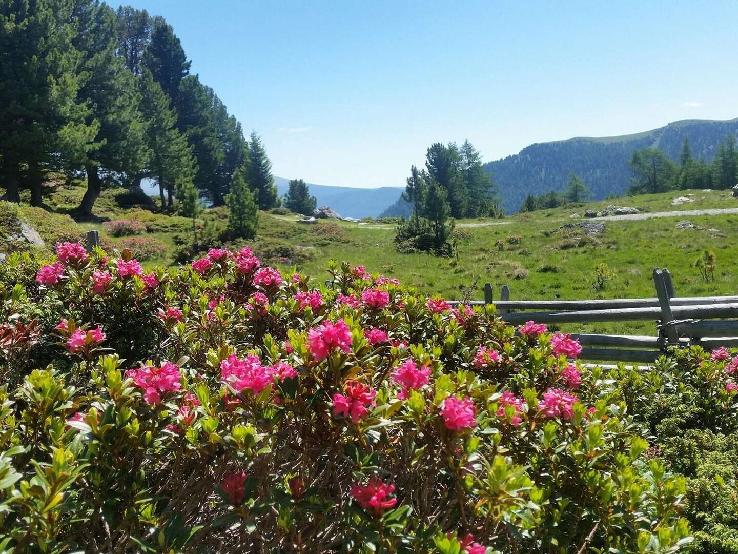 Der Berg ruft - Kärntner Nockberge in Bad Kleinkirchheim inkl. Bergbahnen | 3 Nächte