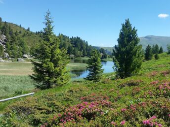 Der Berg ruft - Kärntner Nockberge in Bad Kleinkirchheim inkl. Bergbahnen | 5 Nächte