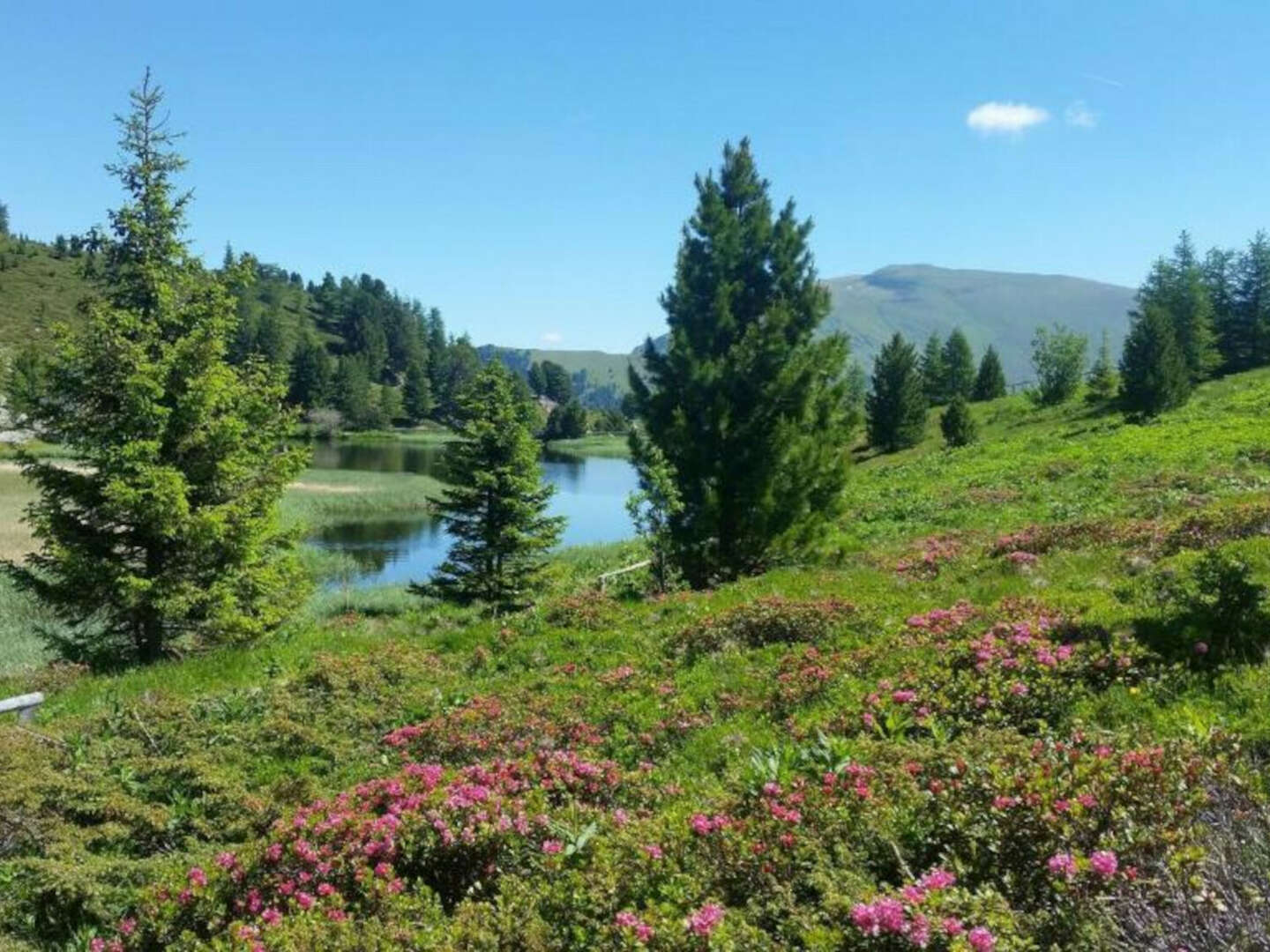 Der Berg ruft - Kärntner Nockberge in Bad Kleinkirchheim inkl. Bergbahnen | 3 Nächte