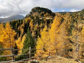 Herbstfarben im Wanderparadies Nockberge | 1. Nacht GRATIS inkl. Kärnten Card | 5 Nächte