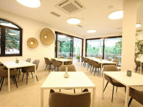 Detox-Wellnessurlaub im slowenischen Ankaran inkl. Halbpension | 6 Nächte