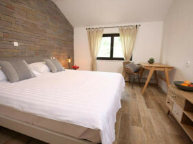 Detox-Wellnessurlaub im slowenischen Ankaran inkl. Halbpension | 6 Nächte