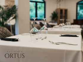 Detox-Wellnessurlaub im slowenischen Ankaran inkl. Halbpension | 6 Nächte