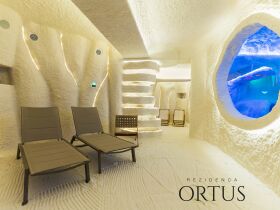 Detox-Wellnessurlaub im slowenischen Ankaran inkl. Halbpension | 6 Nächte