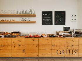 Detox-Wellnessurlaub im slowenischen Ankaran inkl. Halbpension | 6 Nächte