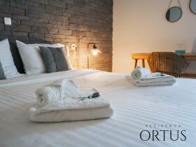 Detox-Wellnessurlaub im slowenischen Ankaran inkl. Halbpension | 6 Nächte