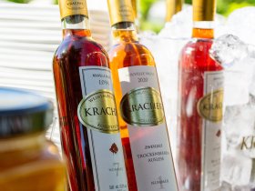 Kurzurlaub in der Region Neusiedler See inkl. Weinverkostung | 6 Nächte