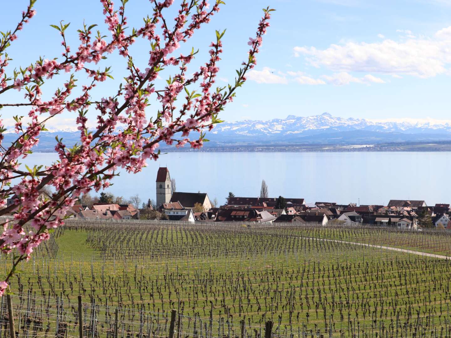 Saisonstart- Frühlingsgefühle am Bodensee - 5 Tage 