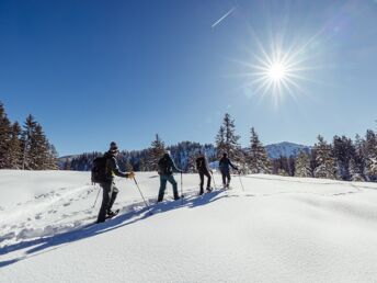 Auszeit im Appartement im Alpbachtal | 5 Nächte 