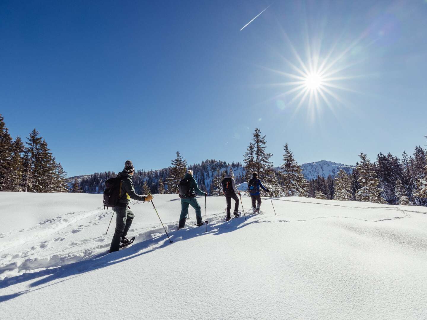 Skifahren im Alpbachtal - Auszeit im Appartement | 4 Nächte