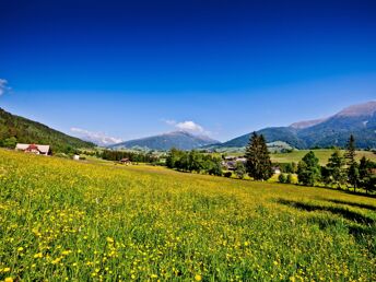 Kurzurlaub in der Steiermark - gemütliche Auszeit mit der Familie | 6 Nächte