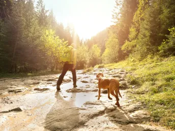 Aktivurlaub mit Hund in der Region Murau: Ein Abenteuer für Zwei- und Vierbeiner I 3 Nächte