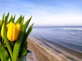 Frühlingsausflug an die Ostsee (Polaris III)