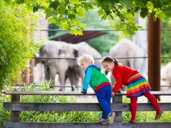 Familientag im Zoo Magdeburg | 1 Nacht