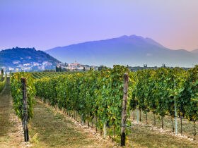 Traumurlaub am Gardasee mit reichhaltigem Frühstück I 3 Nächte