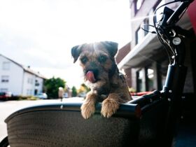 Relax & Chill - inkl. Dinner wie ICH! es will! (6 Tage)