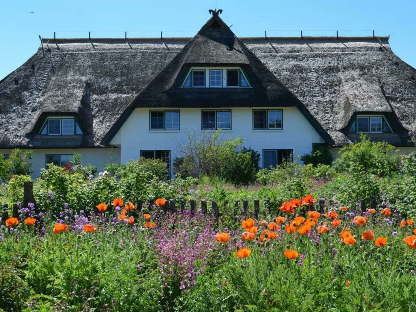 Urlaub auf dem Darß