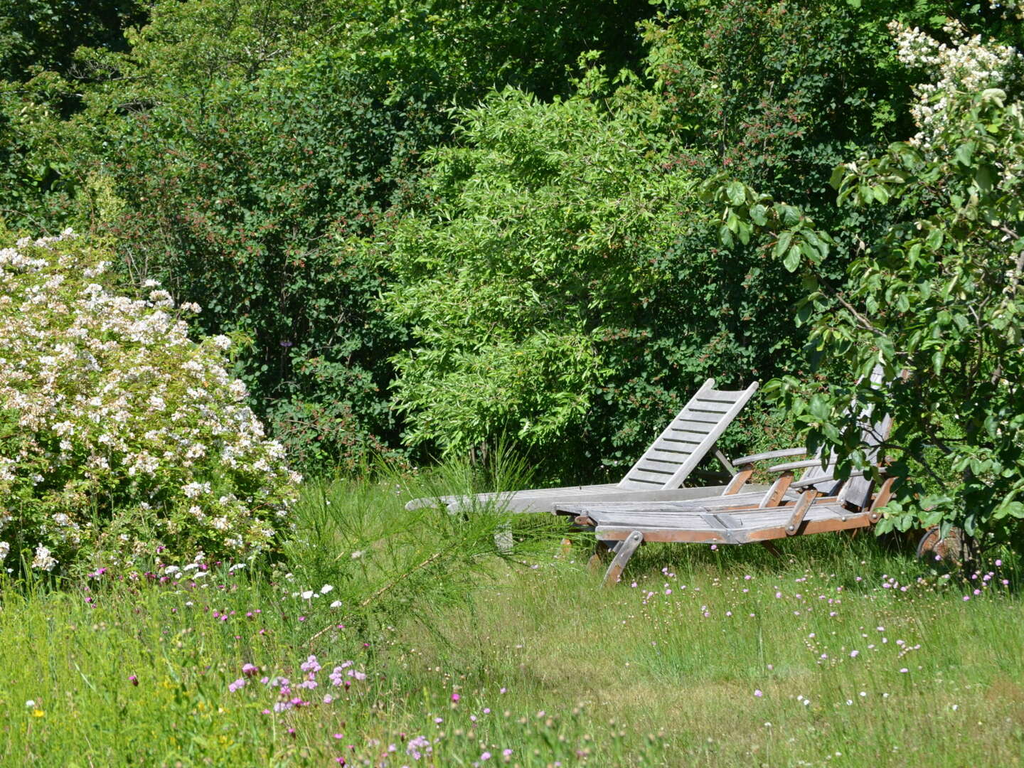 Urlaub auf dem Darß