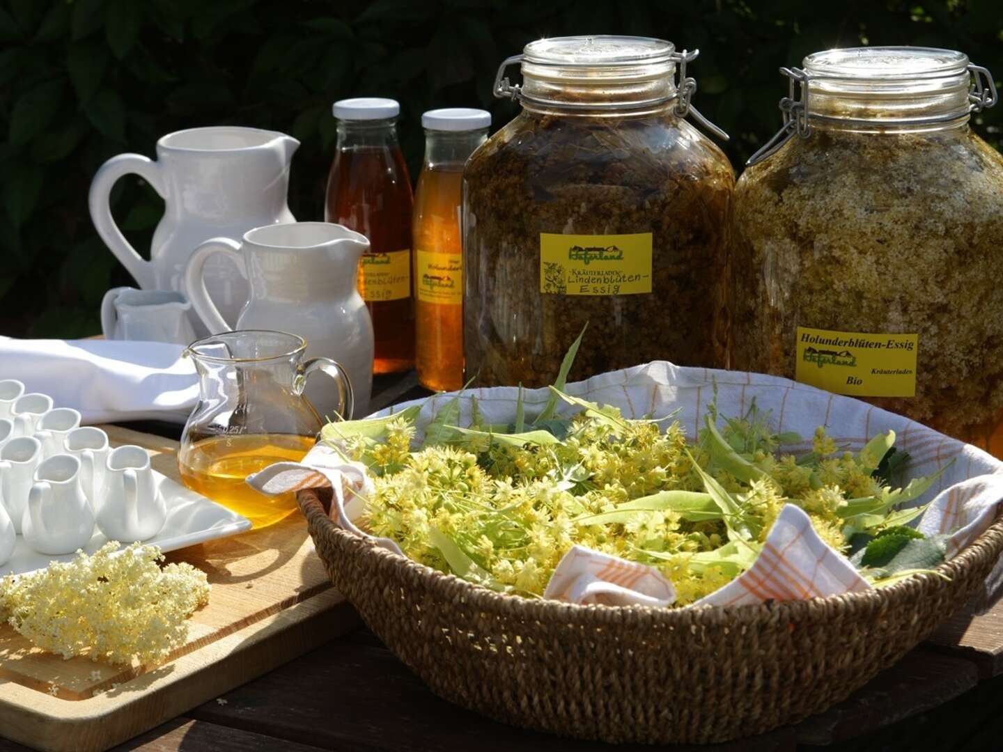 Erlebnisurlaub auf dem Darß inkl. 1 x Abendessen