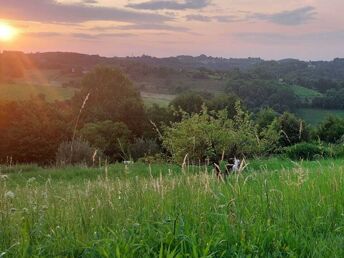 3 Länder, 1 Naturpark & unzählige Abenteuer - Wanderurlaub im Burgenland