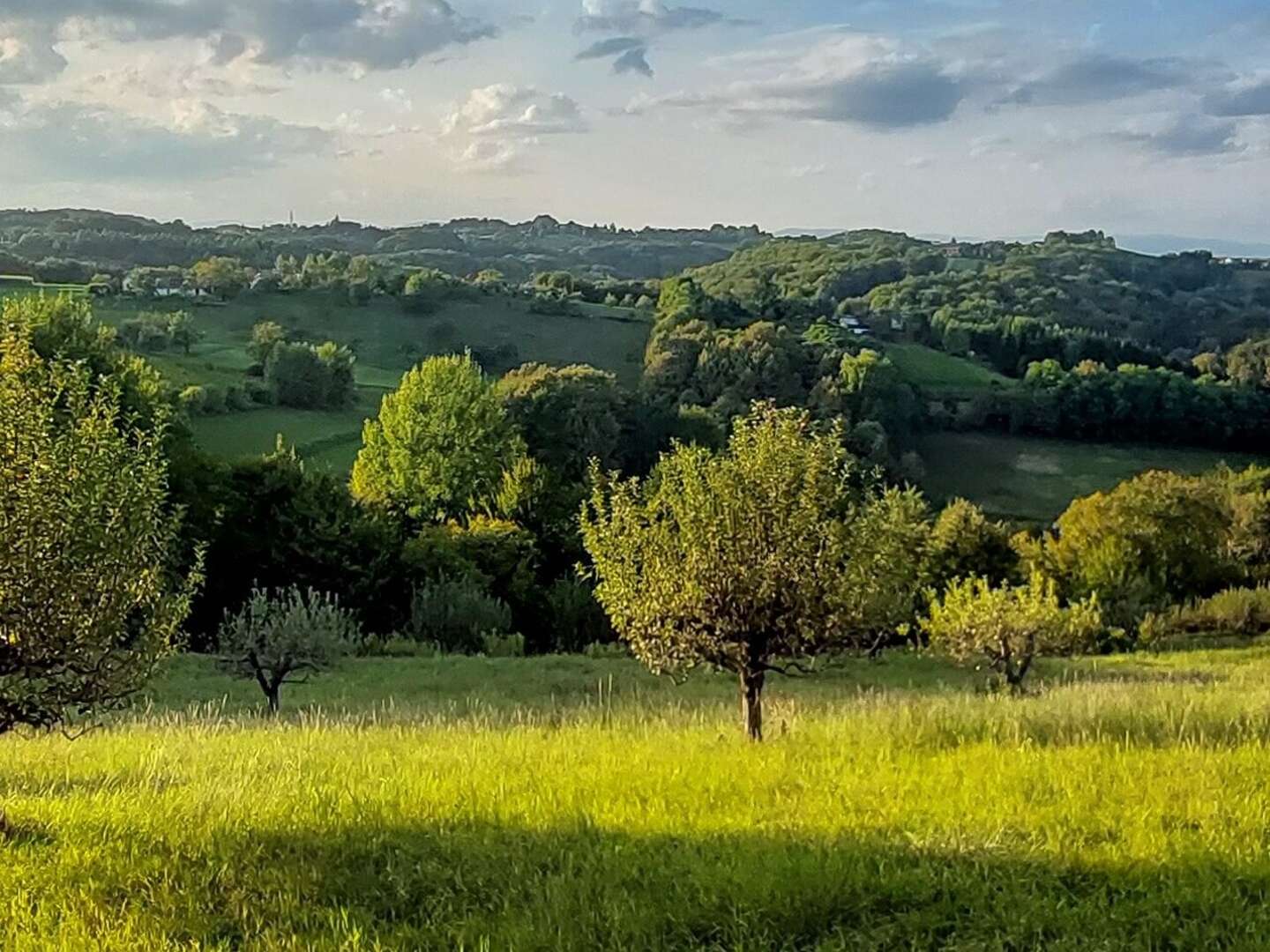 3 Länder, 1 Naturpark & unzählige Abenteuer - Wanderurlaub im Burgenland