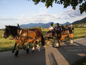 Genuss, Abenteuer & Entspannung  im Südburgenland
