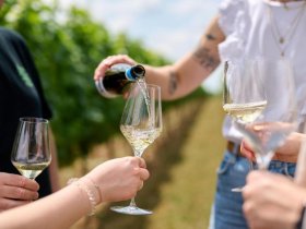 Weinberg Romanze in der Pfalz - 4 Tage im Weinhotel mit Weingut