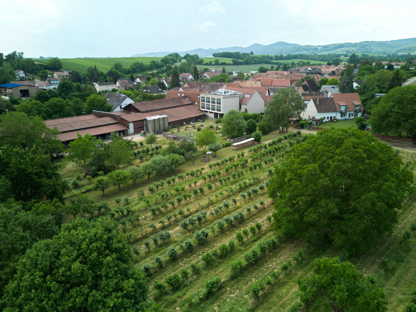 Unser erstes Date in der Pfalz - 5 Tage im Weinhotel mit Weingut