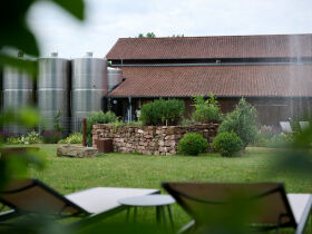 Weinberg Romanze in der Pfalz - 4 Tage im Weinhotel mit Weingut