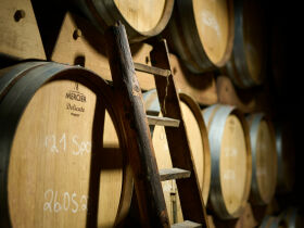 Weinberg Romanze in der Pfalz - 4 Tage im Weinhotel mit Weingut