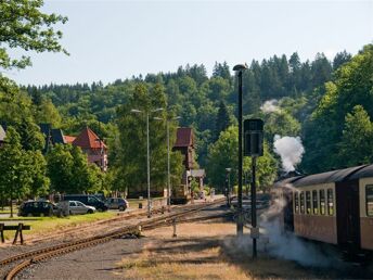 3 Tage Kurzurlaub im Selketal